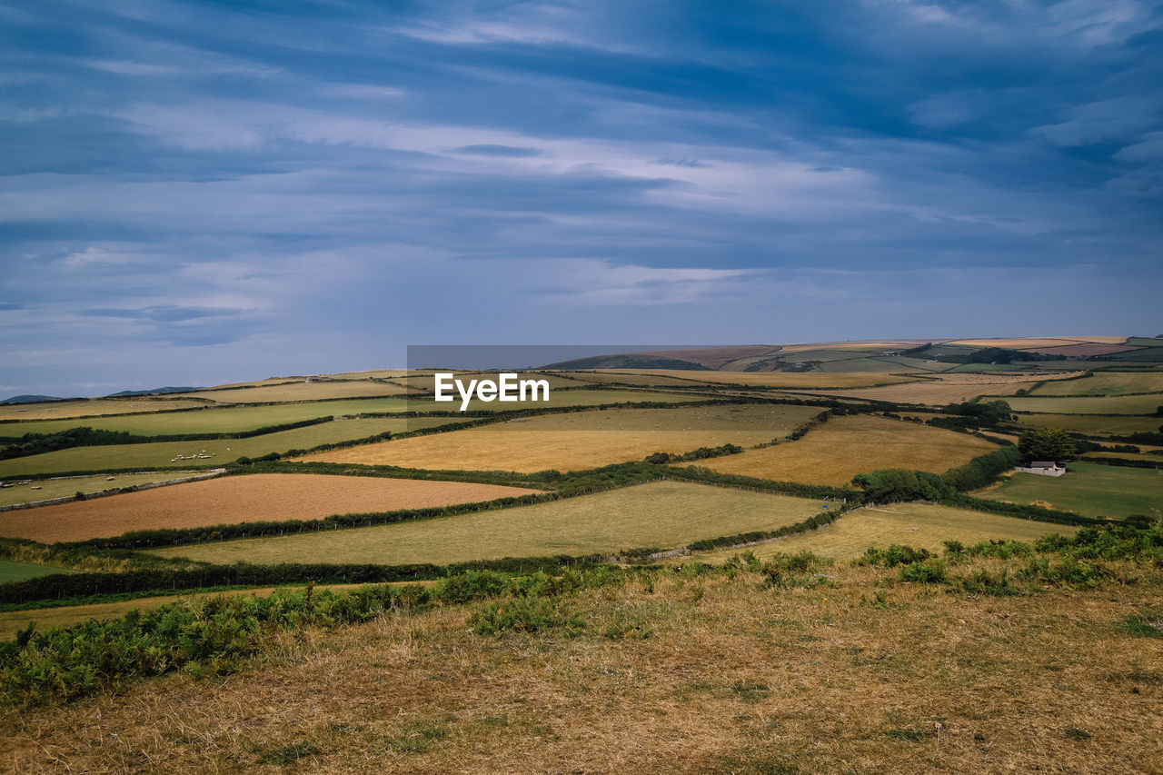 Scenic view of colourful agricultural fields against sky