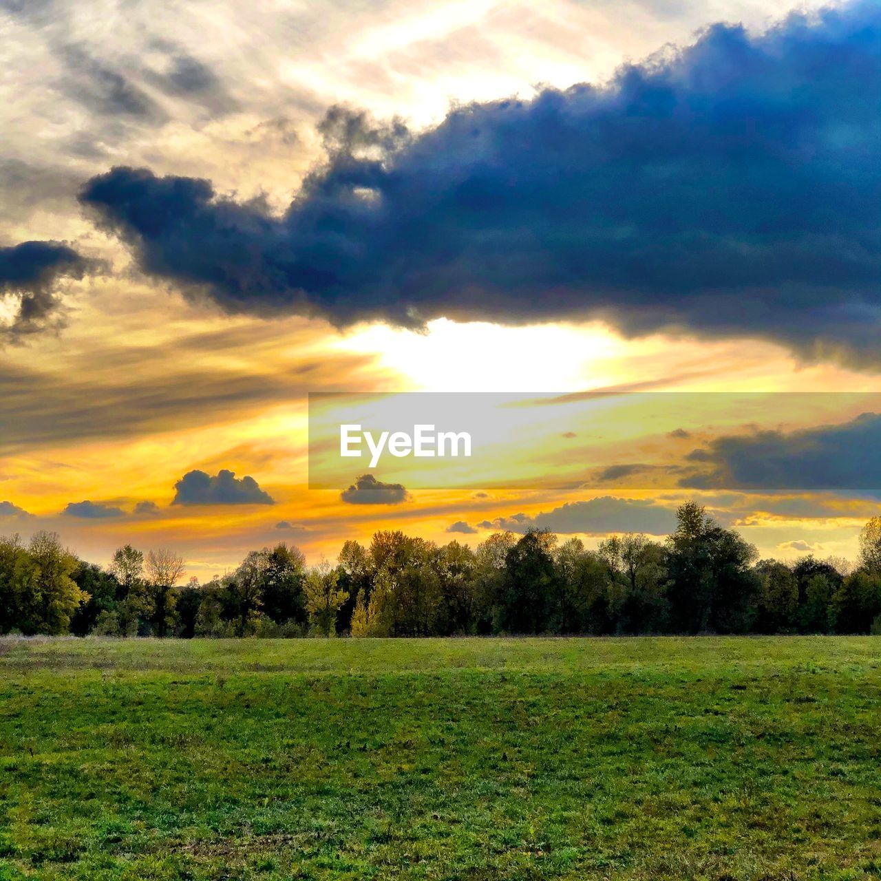 SCENIC VIEW OF FIELD AGAINST SKY AT SUNSET