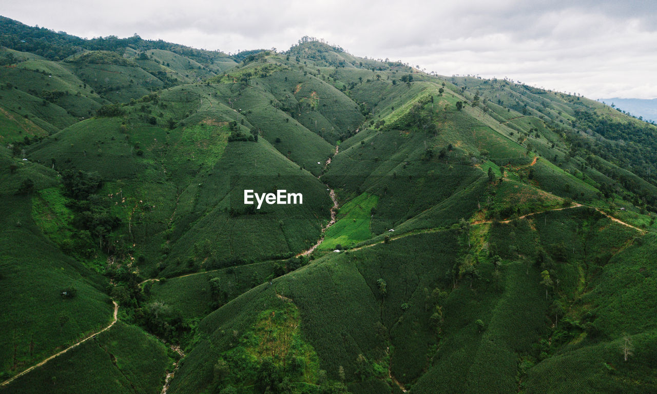 SCENIC VIEW OF LAND AGAINST SKY