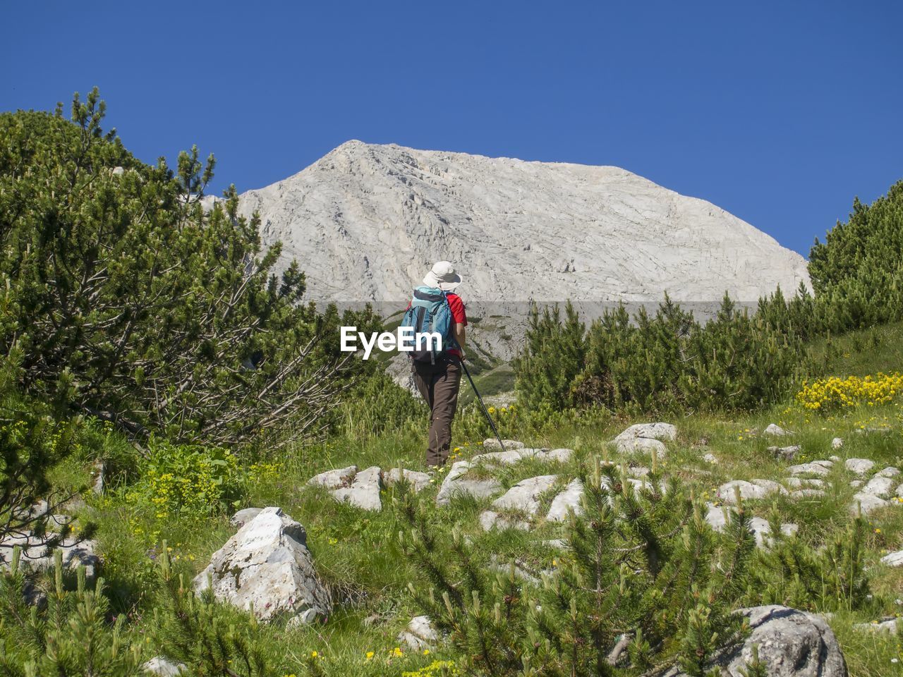 Rear view of woman standing on mountain against sky