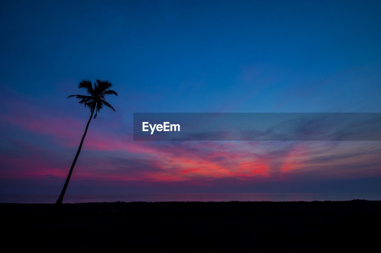 SILHOUETTE PALM TREES AGAINST SKY DURING SUNSET