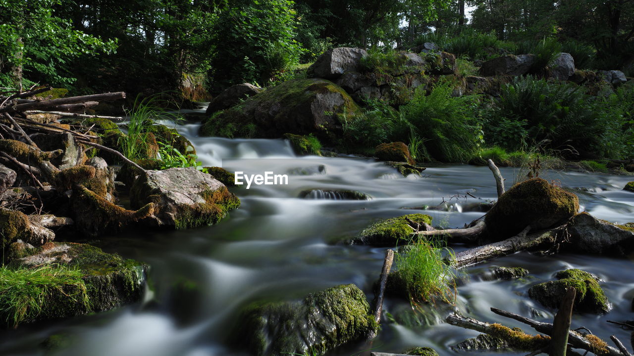 Stream flowing through rocks in forest