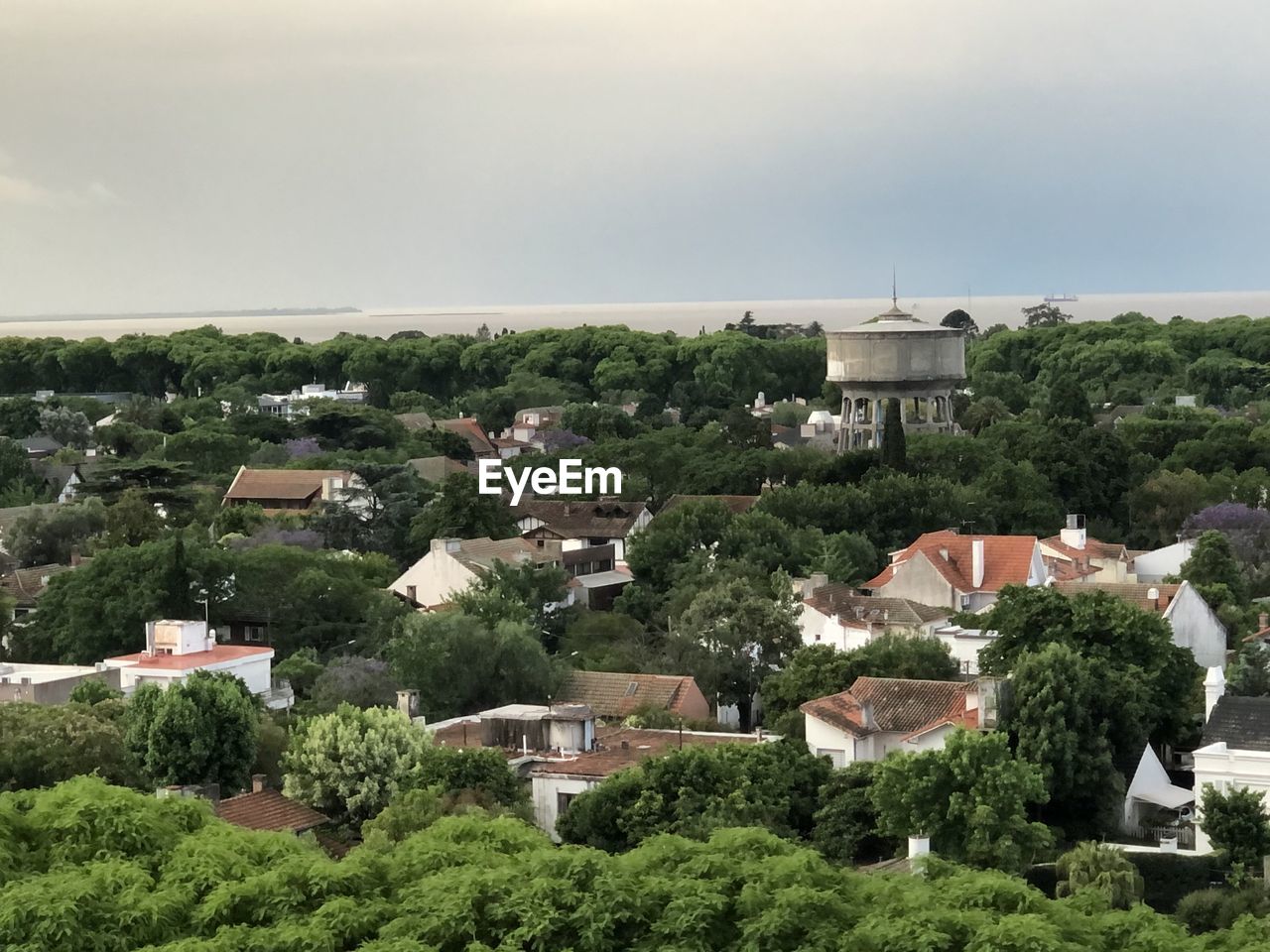 HIGH ANGLE VIEW OF TREES AND BUILDINGS IN CITY