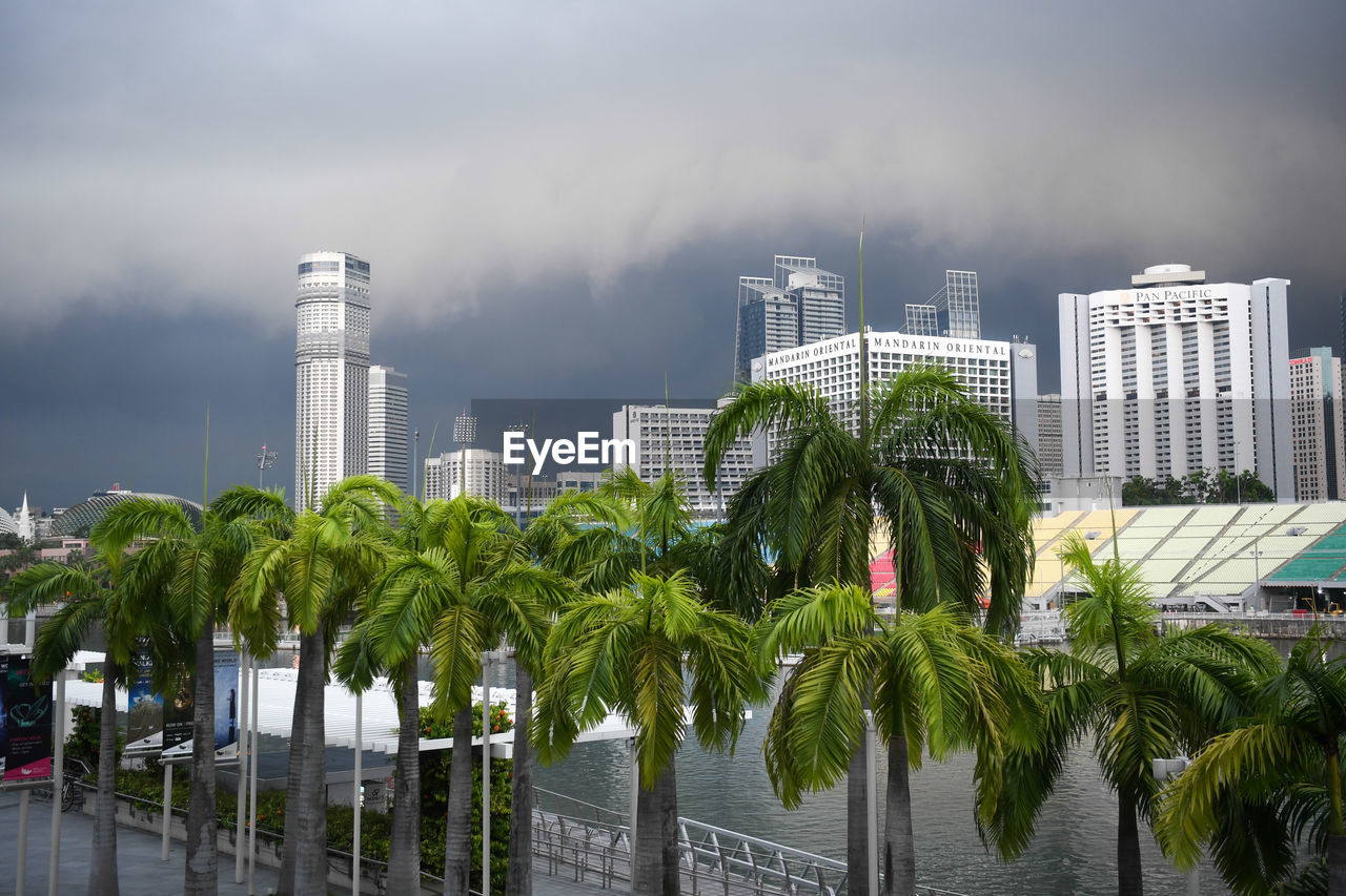 Palm trees and modern buildings against sky