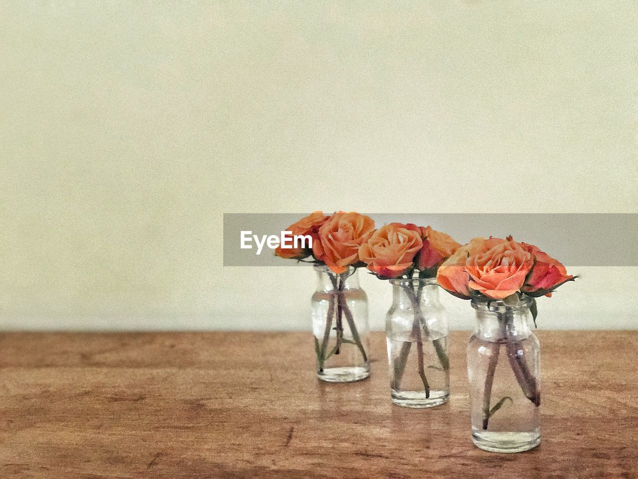 Close-up of coral rose in water filled jar on table