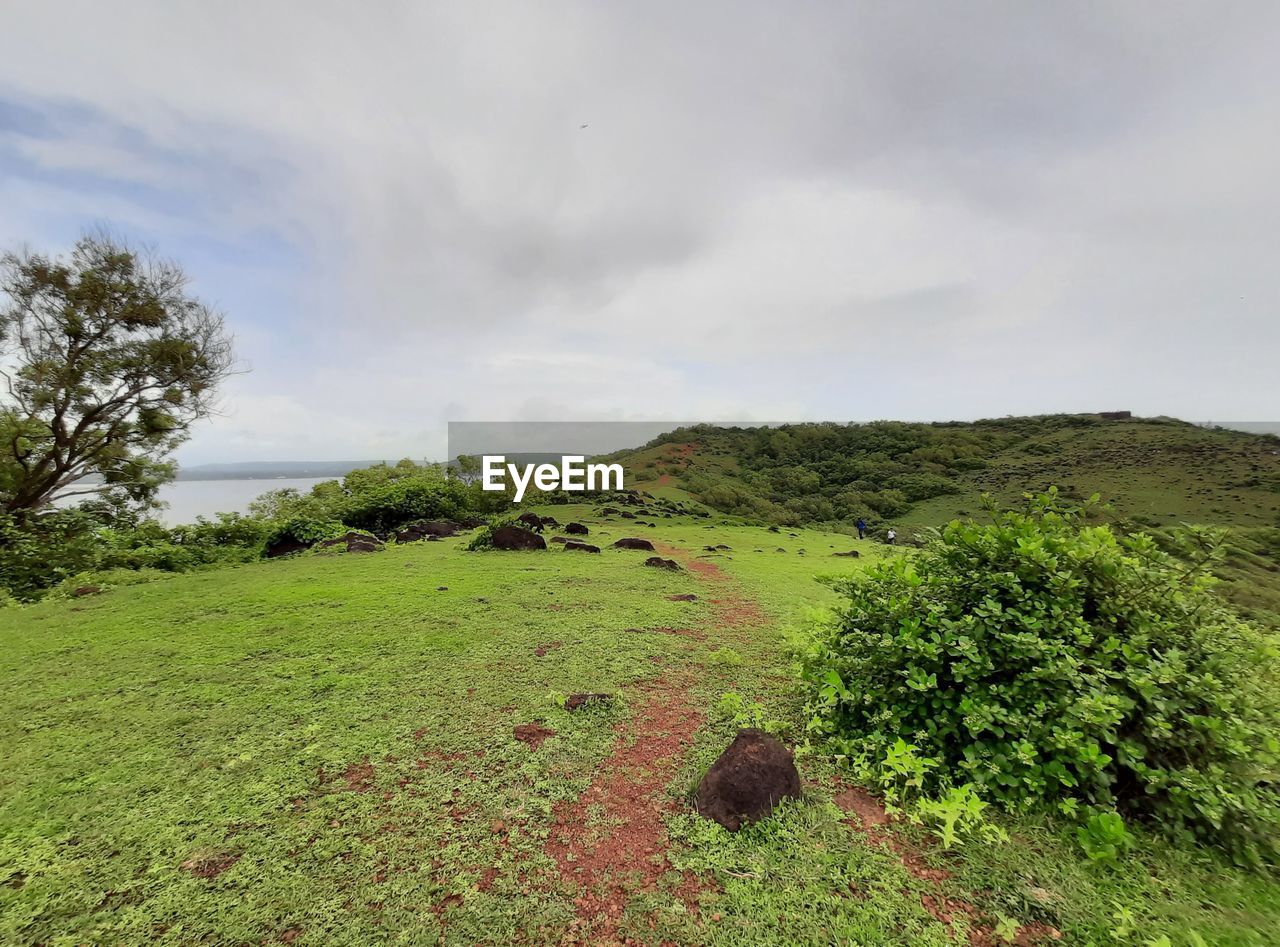 plant, sky, environment, hill, cloud, landscape, nature, grass, land, rural area, scenics - nature, beauty in nature, green, tree, no people, natural environment, grassland, tranquility, non-urban scene, plateau, tranquil scene, day, field, outdoors, travel destinations, meadow, travel, tourism, soil, water, overcast, coast, growth, rural scene, terrain