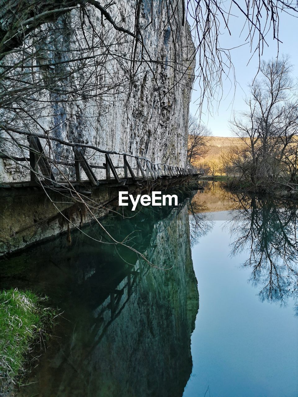 REFLECTION OF BARE TREES IN LAKE