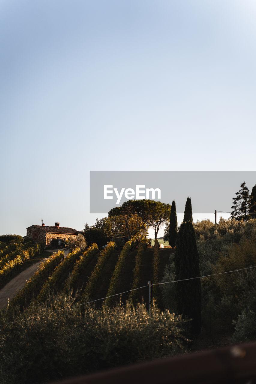 sky, hill, morning, nature, plant, horizon, architecture, tree, landscape, sunlight, no people, clear sky, history, copy space, land, environment, travel, outdoors, travel destinations, the past, dusk, rural area, built structure, scenics - nature, reflection, tranquility, rural scene