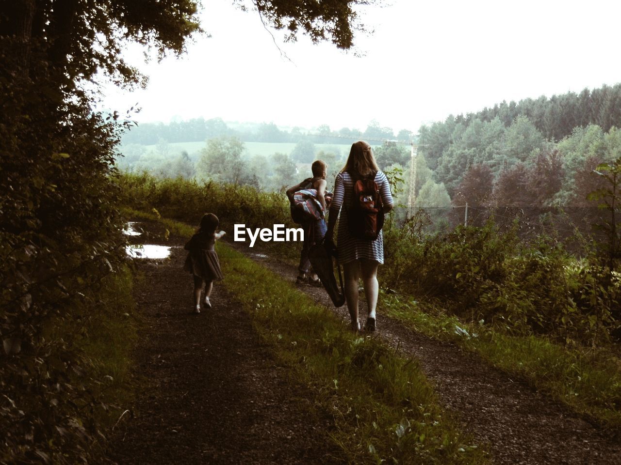 People walking on land in forest