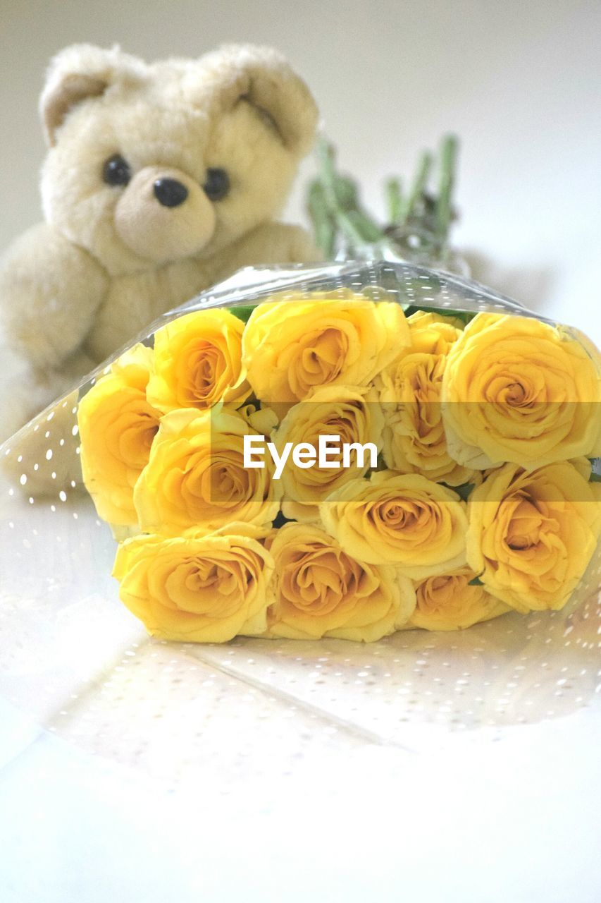 CLOSE-UP OF YELLOW ROSES ON WHITE TOY