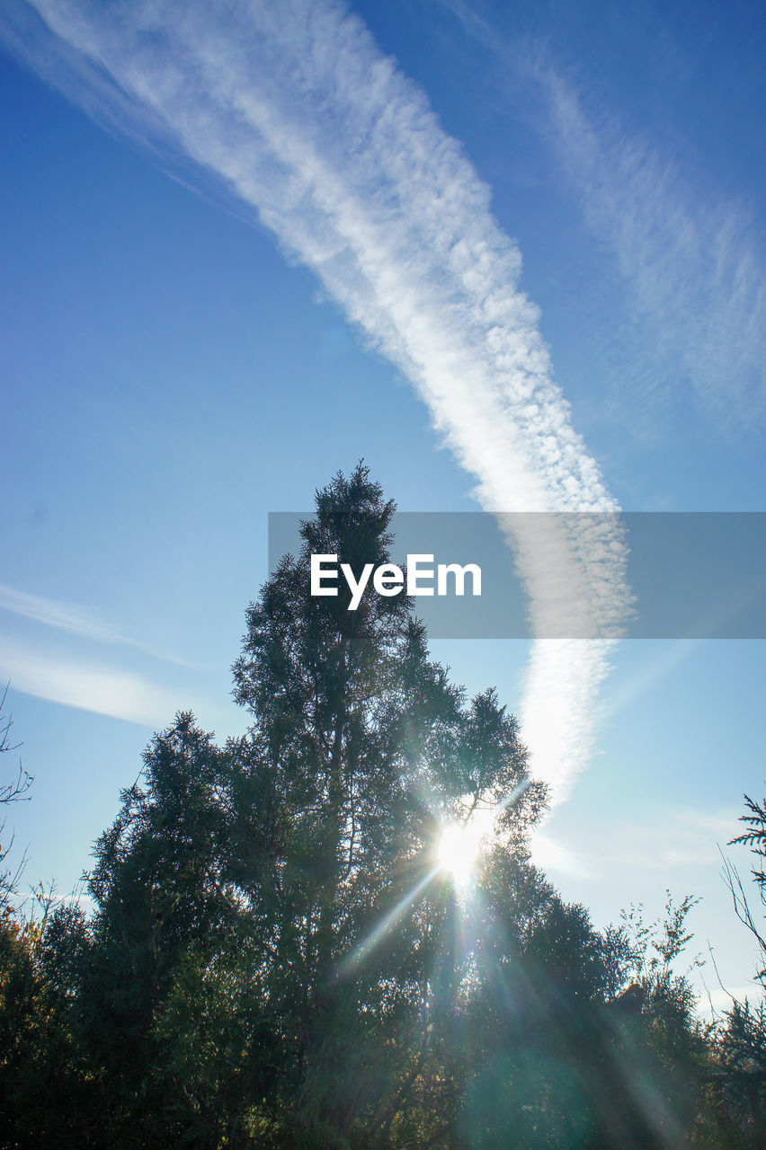 sky, tree, sunlight, plant, cloud, nature, sunbeam, beauty in nature, sun, low angle view, no people, reflection, blue, light, lens flare, day, tranquility, scenics - nature, forest, growth, outdoors, environment, back lit, tranquil scene, land, morning, sunny, non-urban scene