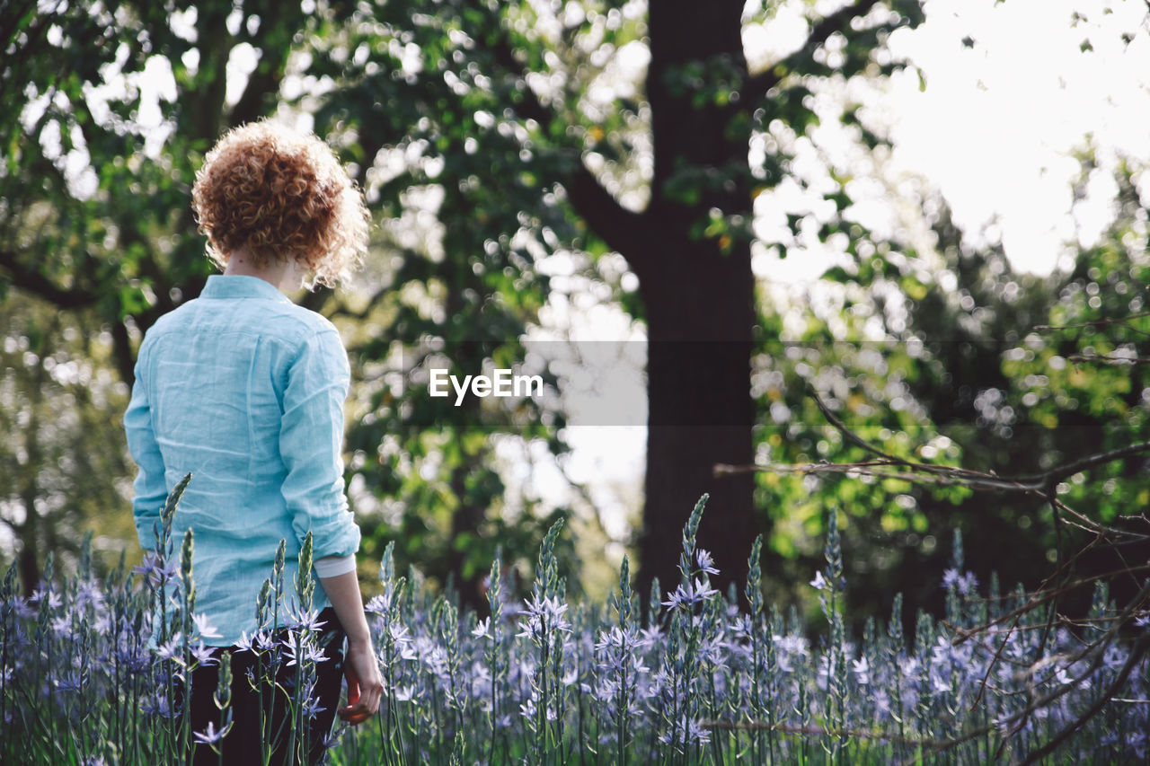 Woman standing amidst purple flowering plants at forest