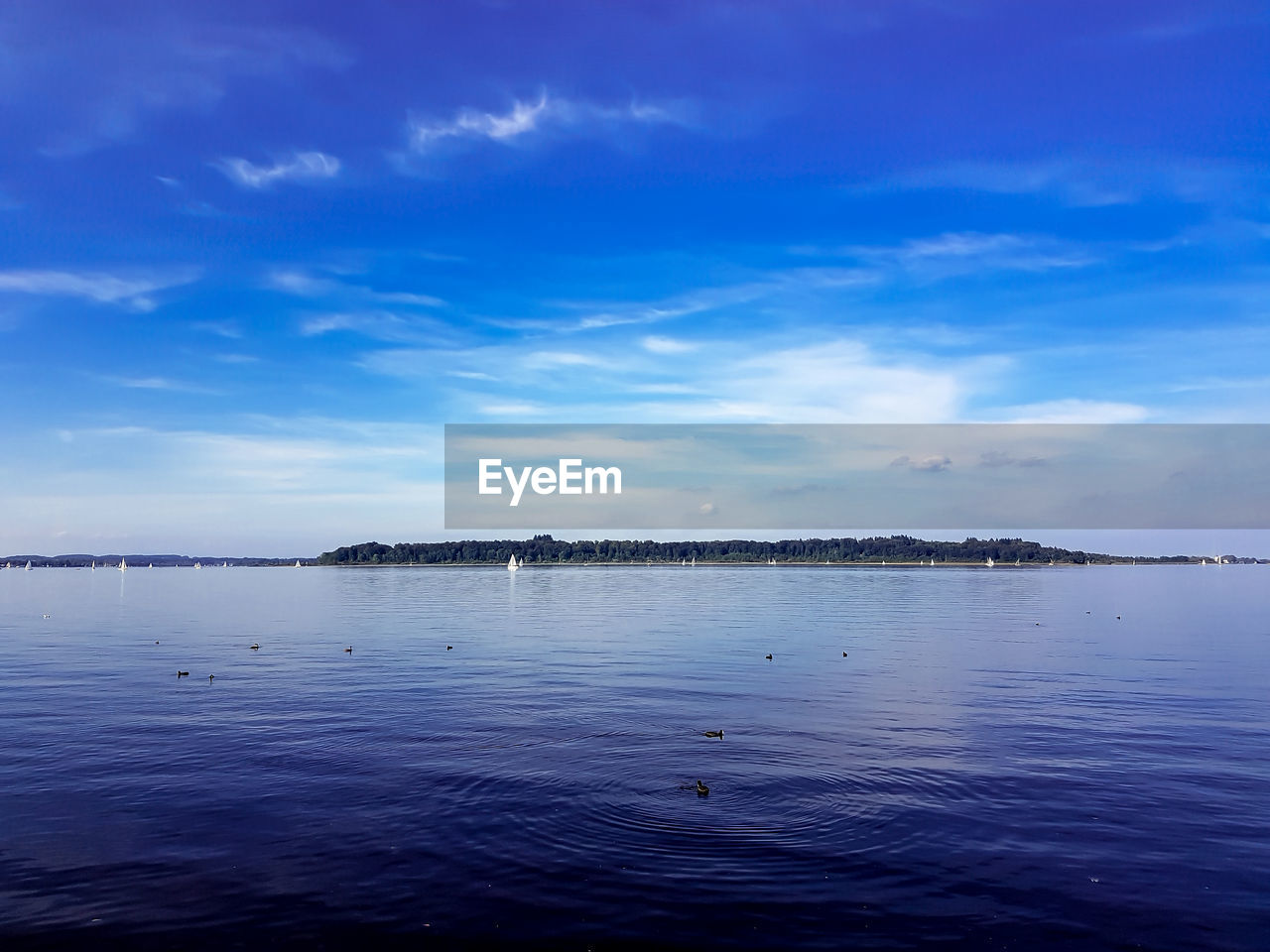 SWAN SWIMMING IN LAKE AGAINST SKY