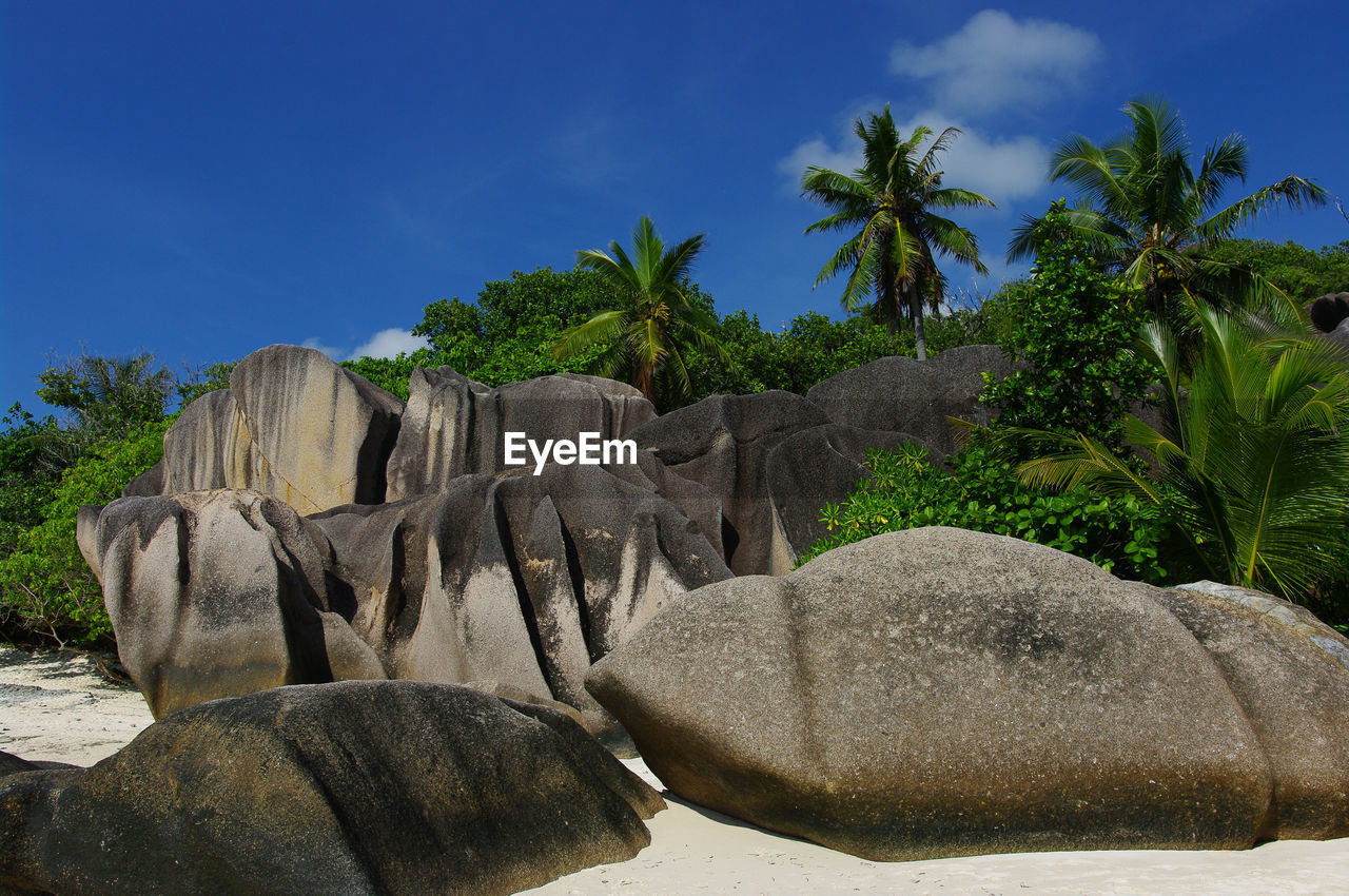 Rock formation amidst trees against sky