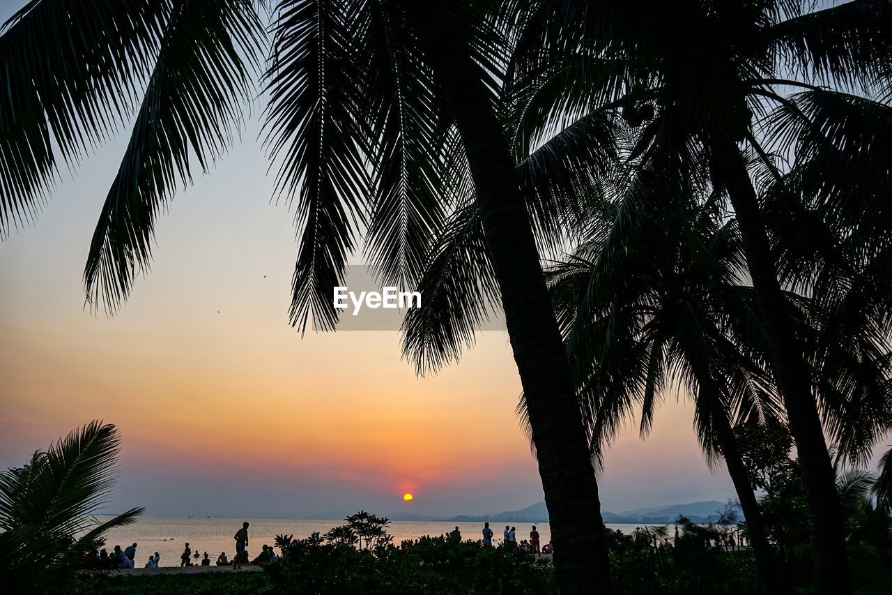 SILHOUETTE PALM TREE BY SEA AGAINST SKY AT SUNSET