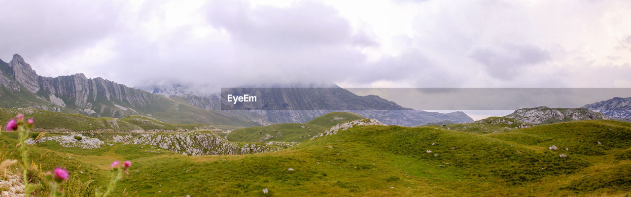 PANORAMIC SHOT OF LANDSCAPE AGAINST SKY