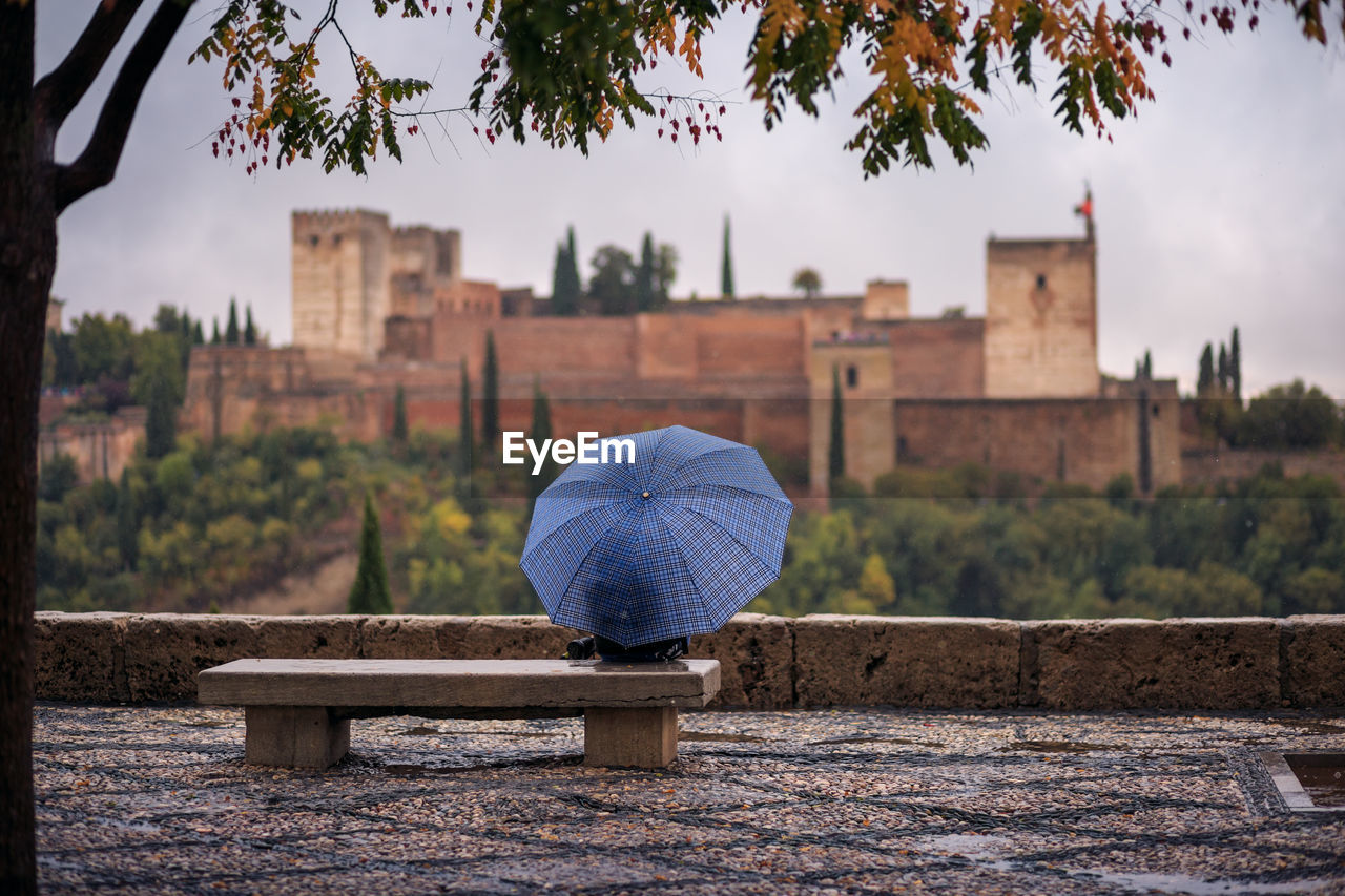 Rear view of person with umbrella sitting on bench in park