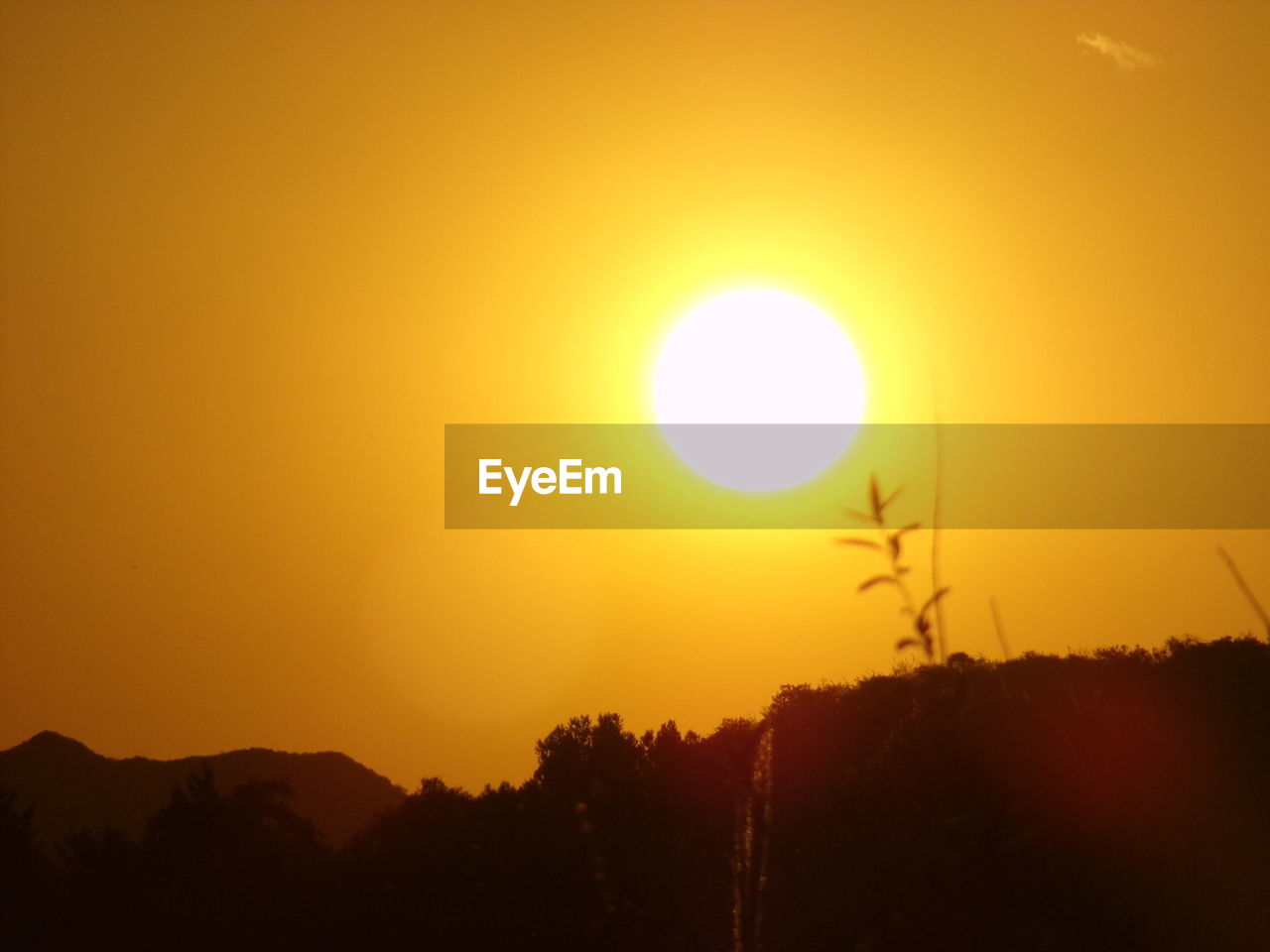 SILHOUETTE LANDSCAPE AGAINST ORANGE SKY DURING SUNSET