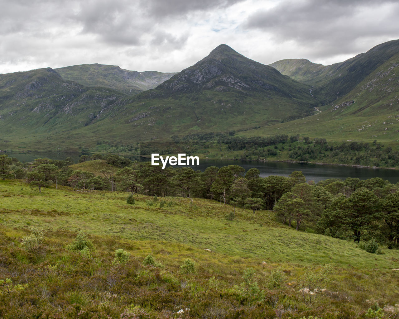 SCENIC VIEW OF GREEN MOUNTAINS