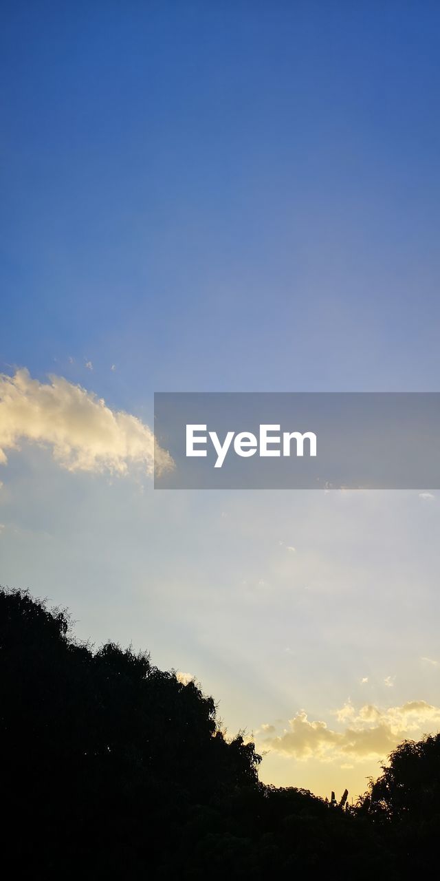 sky, cloud, tree, beauty in nature, sunlight, silhouette, nature, tranquility, plant, scenics - nature, no people, horizon, dusk, tranquil scene, sunset, evening, sun, blue, low angle view, outdoors, idyllic, environment, light, non-urban scene, copy space