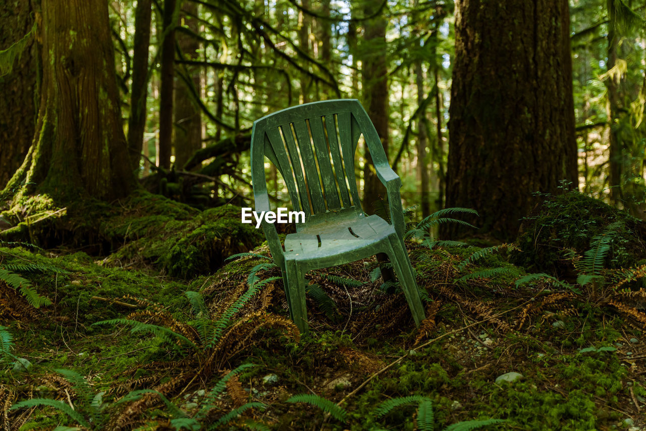 A garden chair left alone in the forest