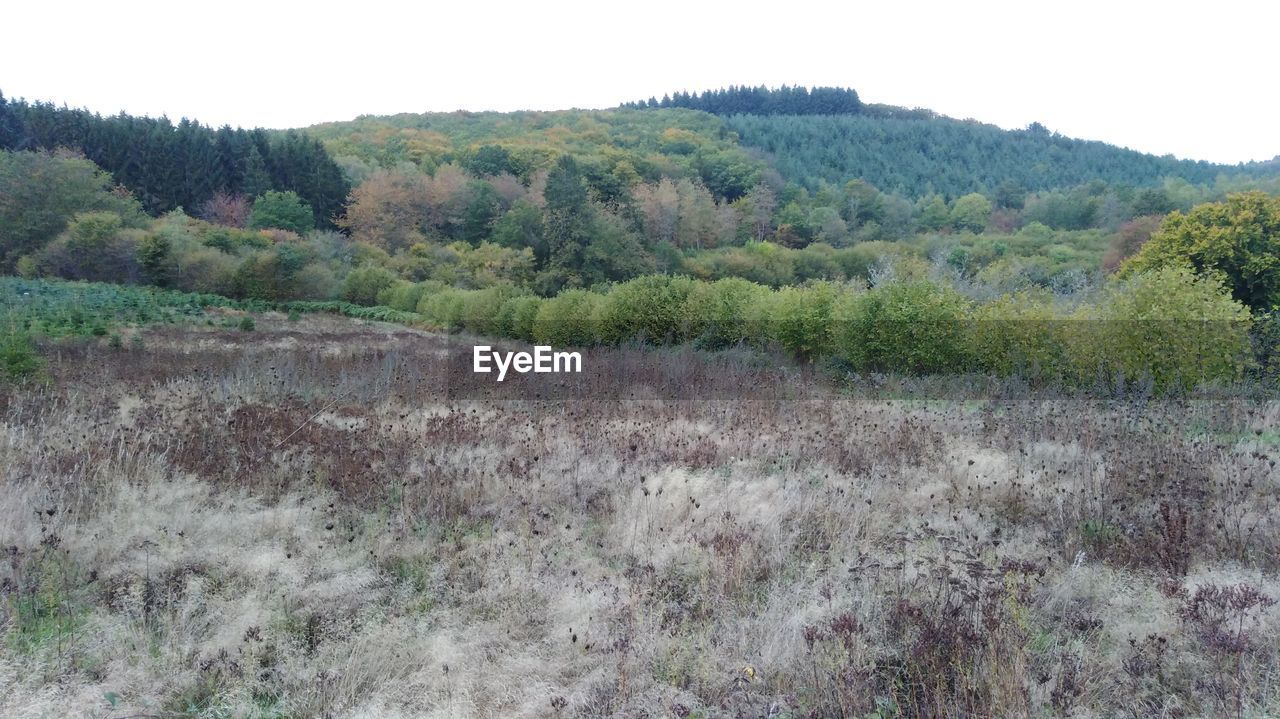 SCENIC VIEW OF LAND AGAINST CLEAR SKY