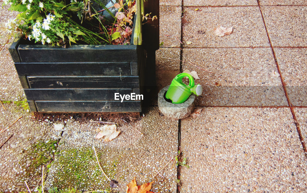 HIGH ANGLE VIEW OF A BIRD PERCHING ON FLOOR