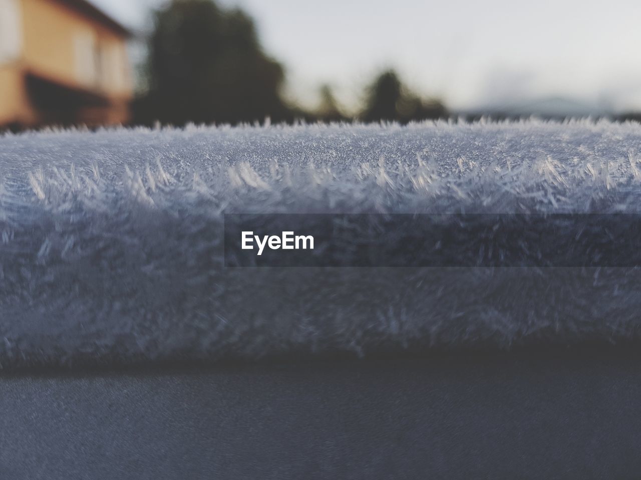 CLOSE-UP OF SNOW FIELD