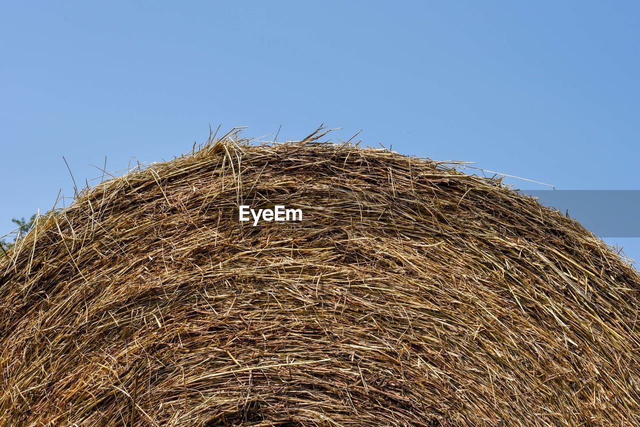 Low angle close-up view of hay bale on field against clear sky