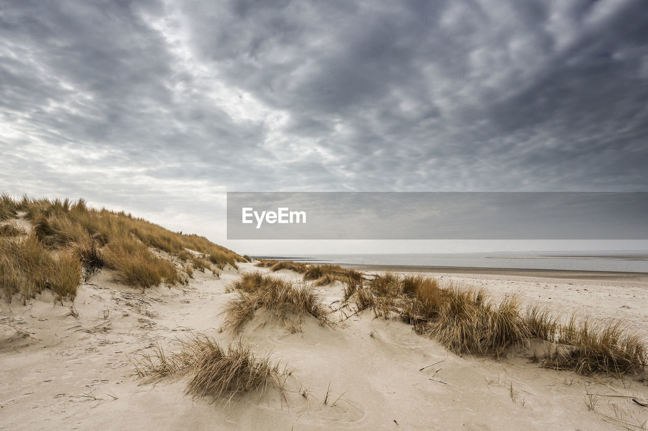 Scenic view of beach against sky