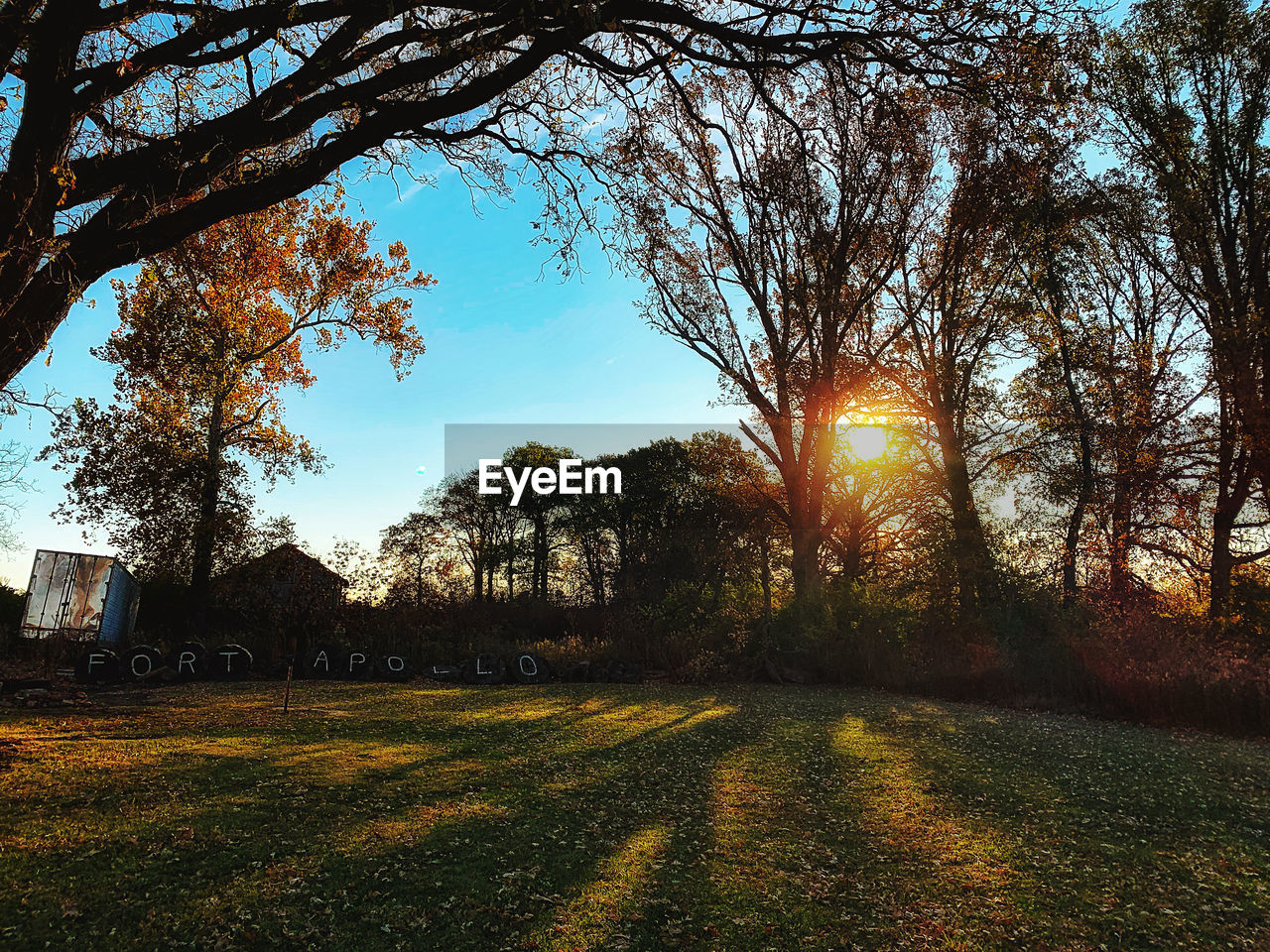 TREES ON FIELD AGAINST SUNSET SKY