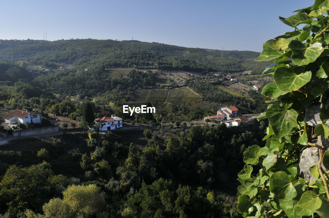 Scenic view of tree mountains against clear sky