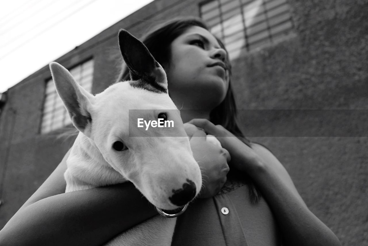 Low angle view of young woman holding bull terrier