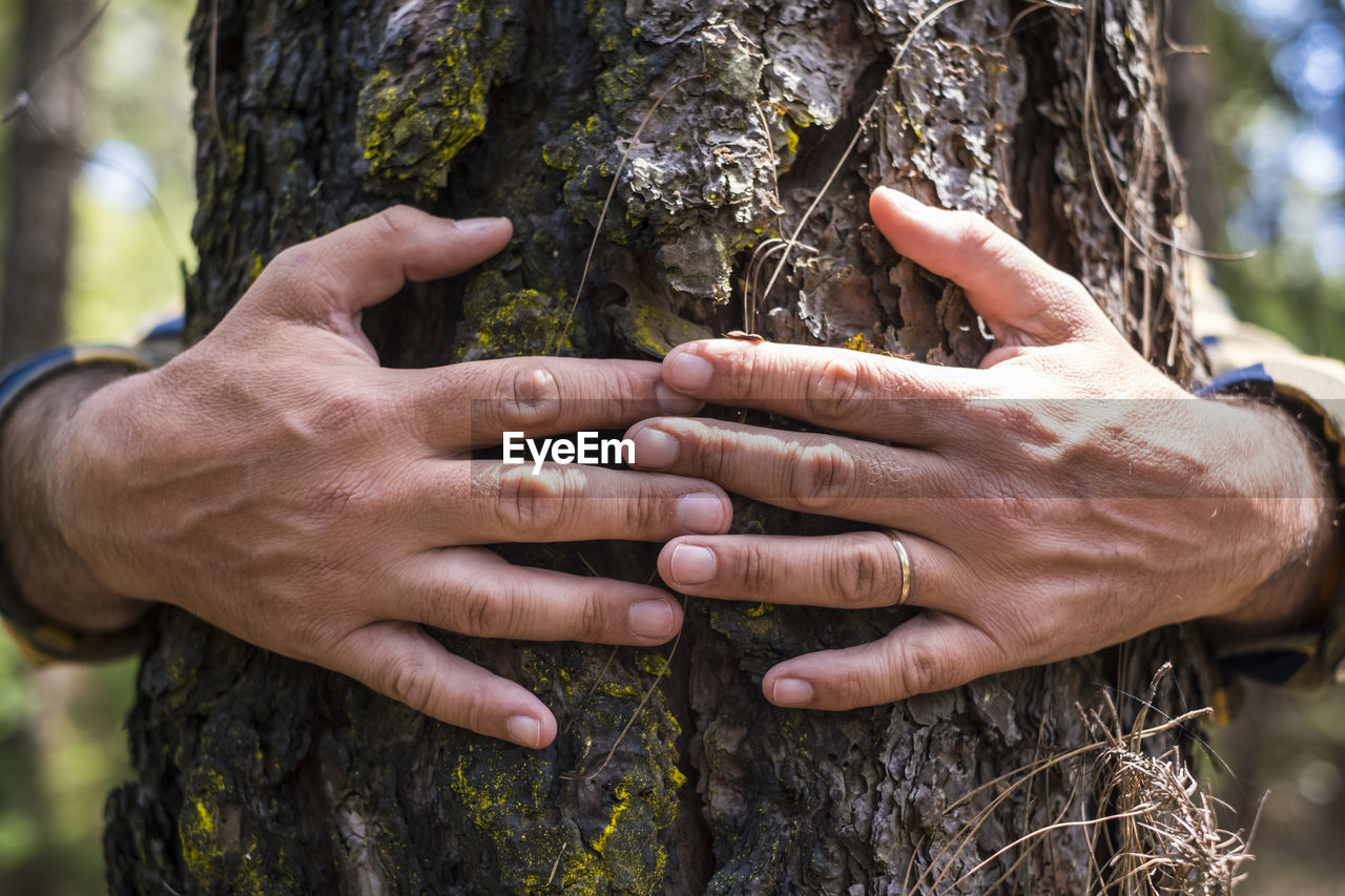 CLOSE-UP OF HAND HOLDING TREE TRUNK