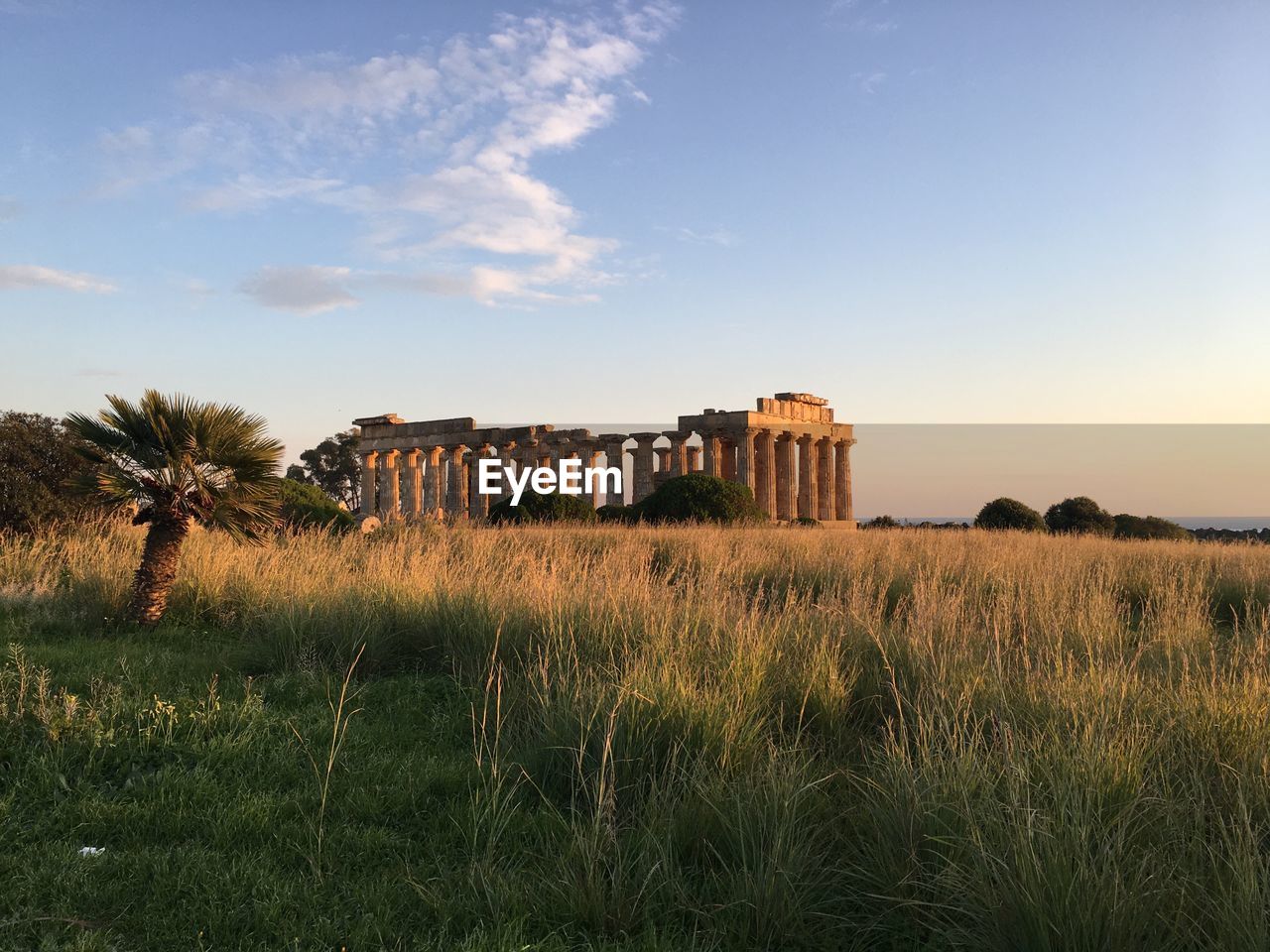 Buildings on field against sky