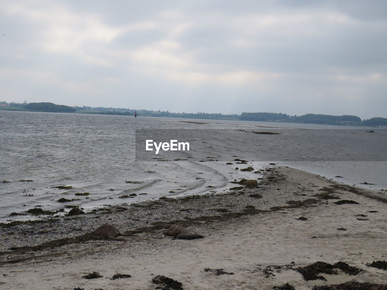 SCENIC VIEW OF BEACH