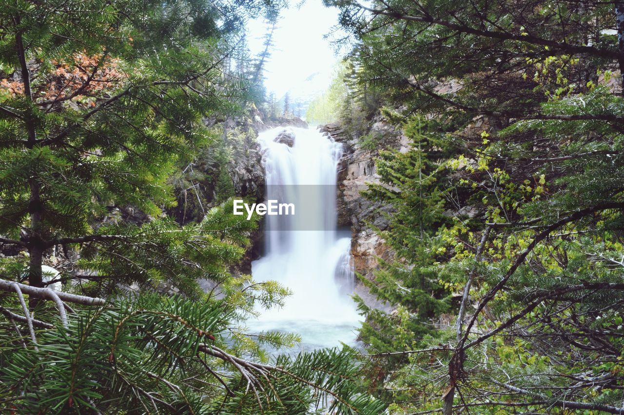 WATERFALL IN FOREST