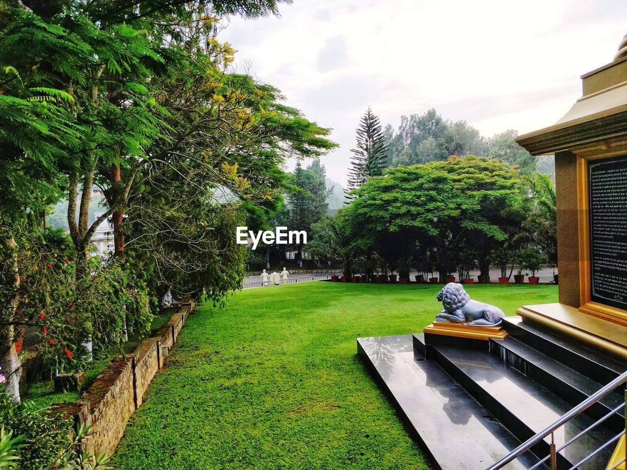 TREES AND PLANTS IN PARK AGAINST BUILDINGS