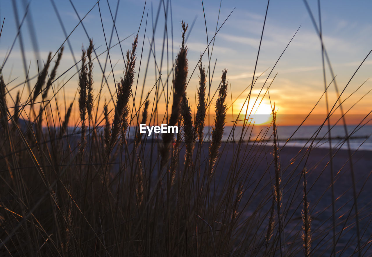 SCENIC VIEW OF SUNSET OVER RIVER