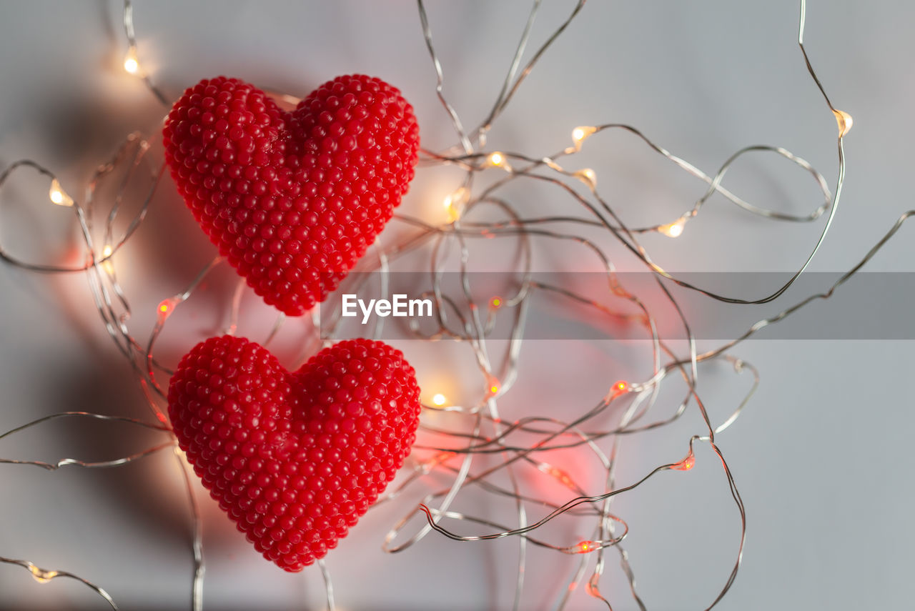 CLOSE-UP OF RED HEART SHAPE BERRIES