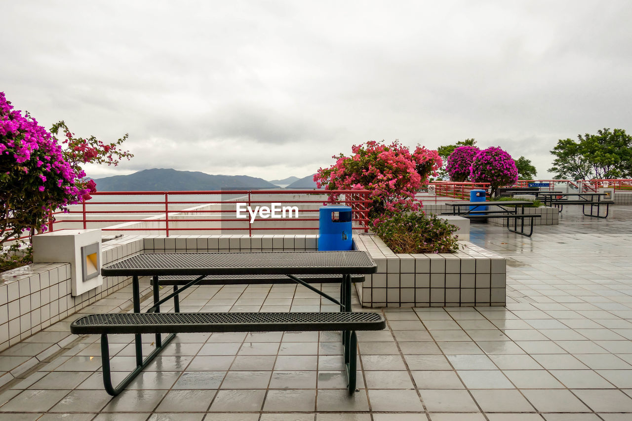 PLANTS WITH PINK FLOWERS IN FOREGROUND
