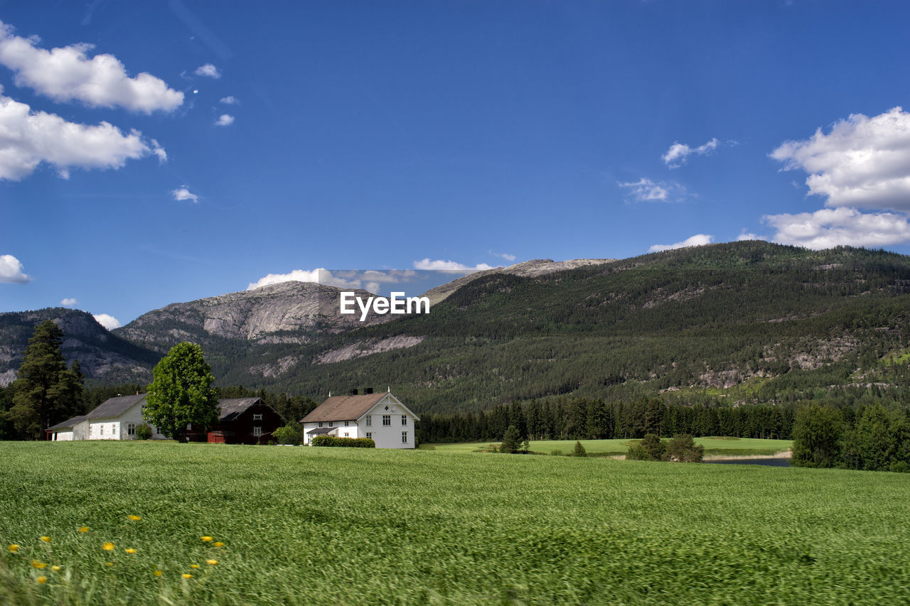 Scenic view of grassy landscape and mountains against sky