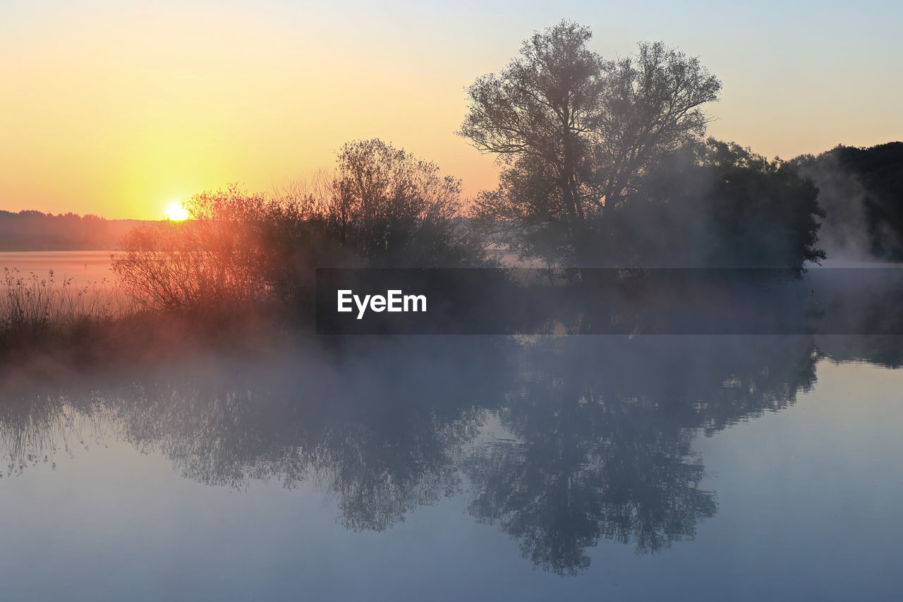 REFLECTION OF TREES ON LAKE DURING SUNSET