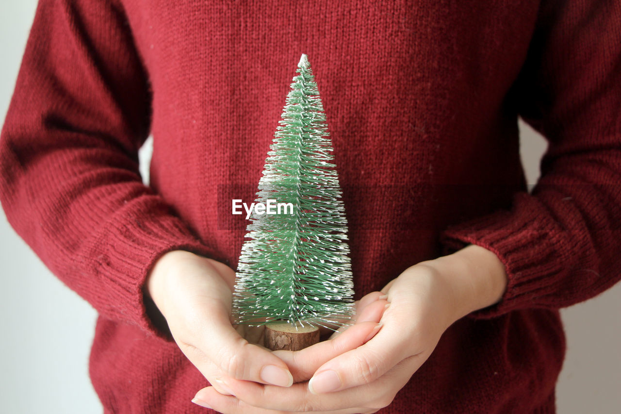 Woman with red sweater holding small christmas tree.