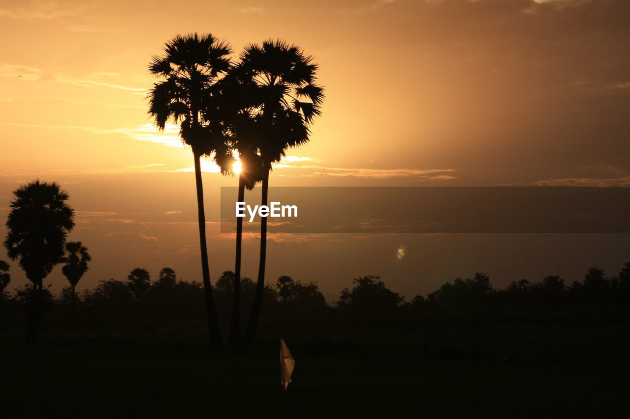 Silhouette palm trees against sky during sunset