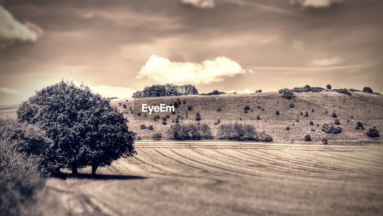 Hay bales on field against sky