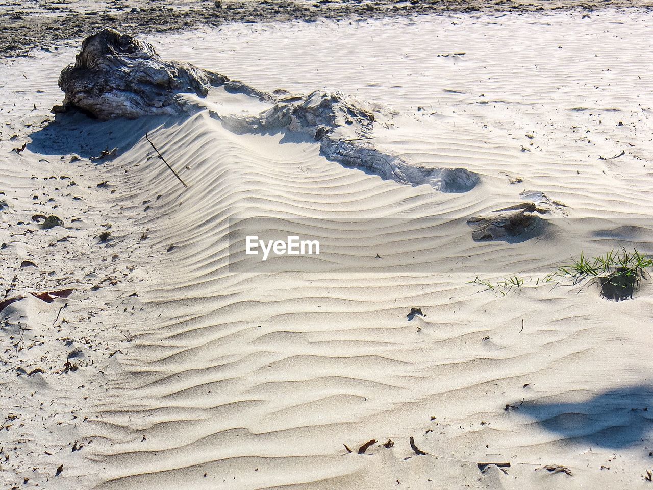 HIGH ANGLE VIEW OF SAND DUNE AT BEACH