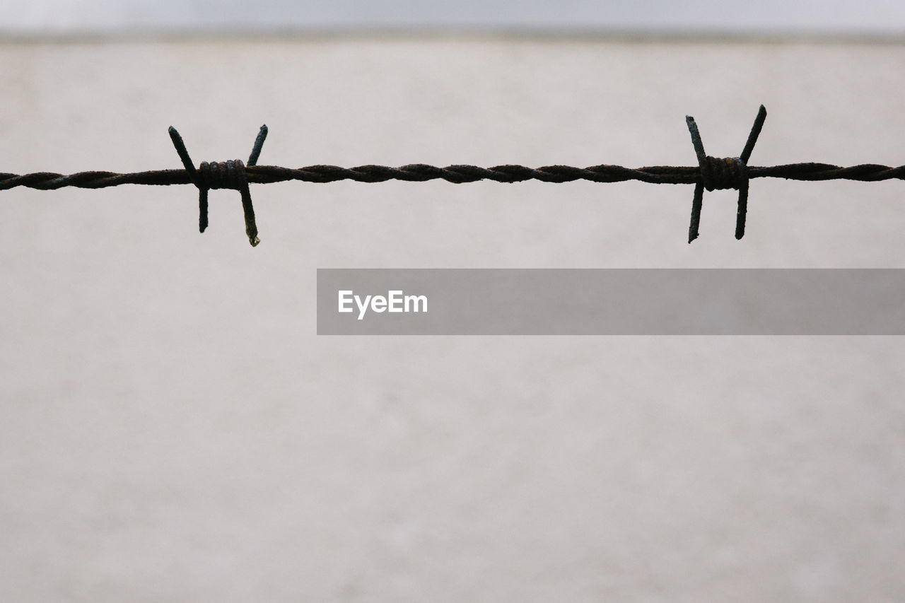 Close-up of barbed wire against wall