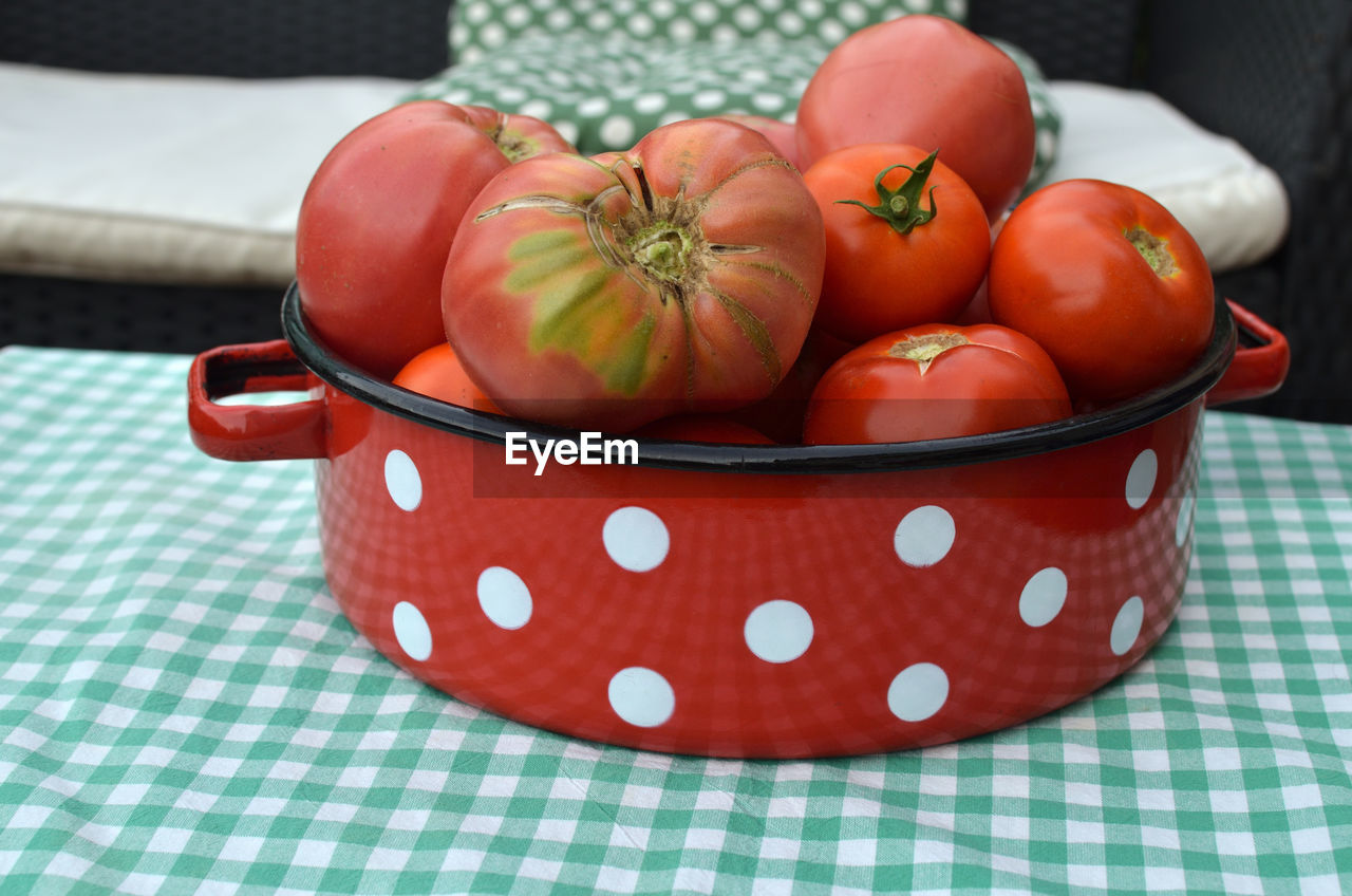 Ripe tomatoes just picked and collected in red traditional dish on a garden table