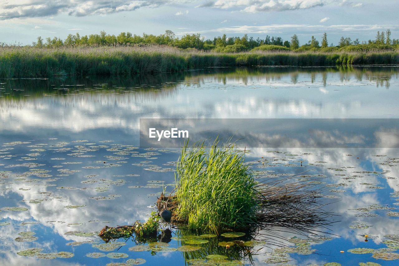 TRANQUIL VIEW OF LAKE AGAINST CLOUDY SKY